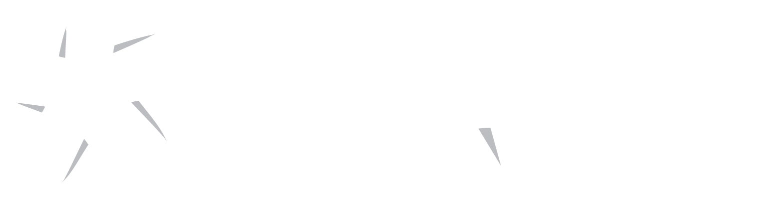 SAIT logo
